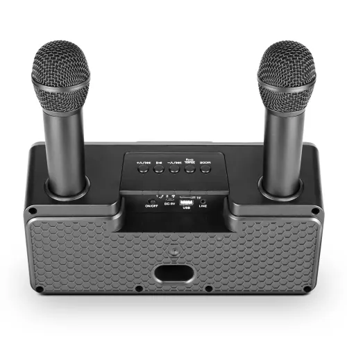 Microlab KTV100 Wireless Mini Karaoke Speaker — image 3 of 3